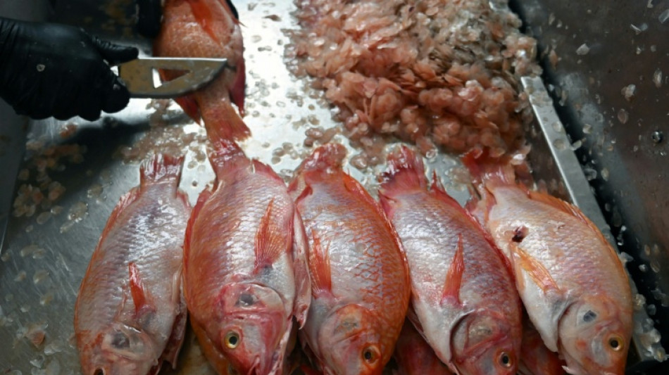 Los puntos clave del nuevo acuerdo de la OMC sobre la pesca