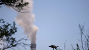 BGH st&auml;rkt Rechte von EU-Staaten bei Streitigkeiten mit Energiekonzernen