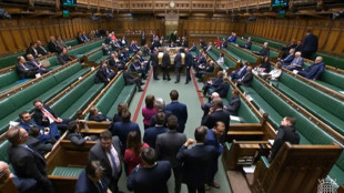 Britisches Parlament stimmt f&uuml;r wichtigen Teil von Nordirland-Kompromiss mit EU
