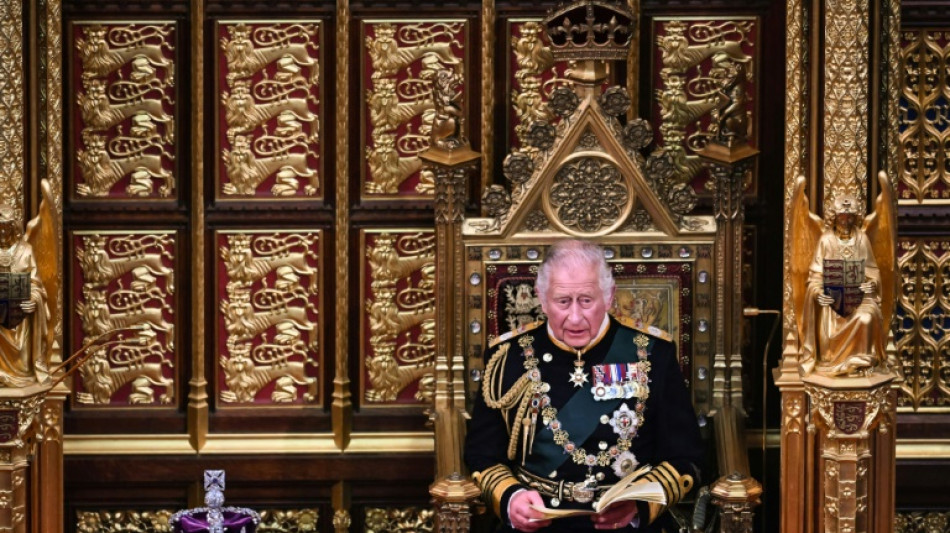 Le prince Charles solennel et appliqu&eacute; pour son premier discours du tr&ocirc;ne