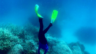 Unesco begr&uuml;&szlig;t finanzielle Zusage Australiens zum Schutz des Great Barrier Reef