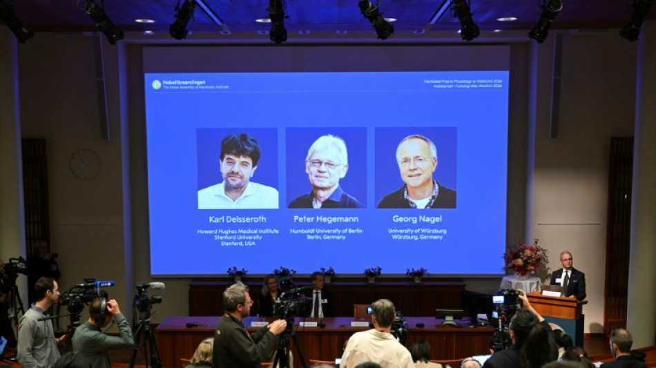 Le Nobel de m&eacute;decine r&eacute;compense un trio pour leurs travaux sur le cerveau