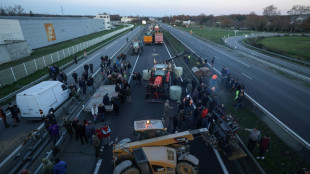 Dermatose: la colère des agriculteurs ne retombe pas, la vaccination s'élargit