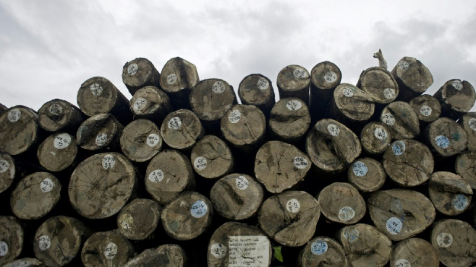 Unesco erkl&auml;rt Fl&ouml;&szlig;erei in sechs EU-L&auml;ndern zum immateriellen Kulturerbe