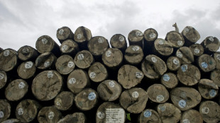 Unesco erkl&auml;rt Fl&ouml;&szlig;erei in sechs EU-L&auml;ndern zum immateriellen Kulturerbe