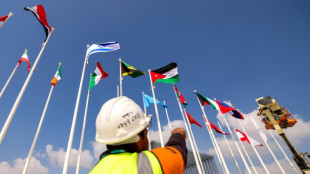 COP28 come&ccedil;a em Dubai com lan&ccedil;amento do fundo de perdas e danos pelo clima