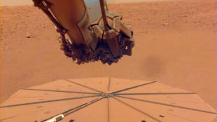 La sonda InSight pasa a retiro tras cuatro a&ntilde;os de trabajo en Marte