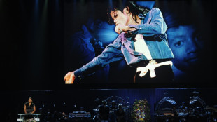 Un sombrero de Michael Jackson, a subasta en Par&iacute;s en septiembre