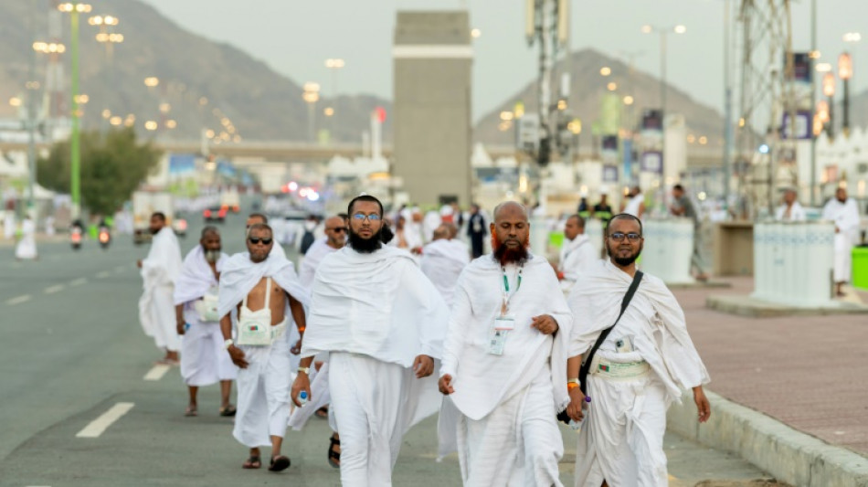 Muslim pilgrims pray at Mount Arafat in hajj apex