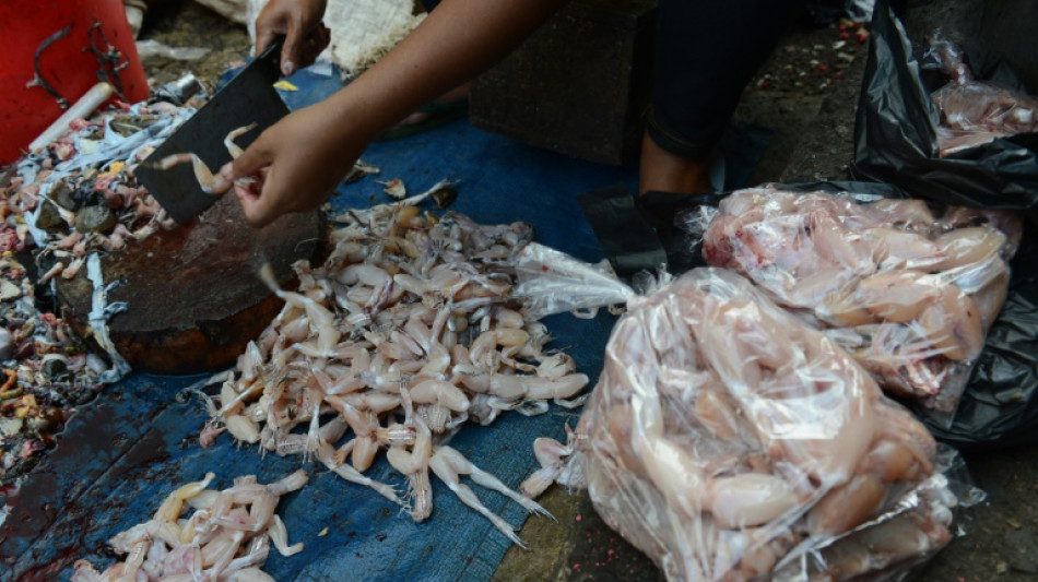 La foire aux grenouilles de Vittel fait bondir les &eacute;cologistes