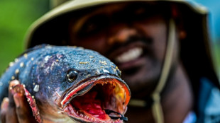 Sri Lanka tries to hook anglers on invasive fish species