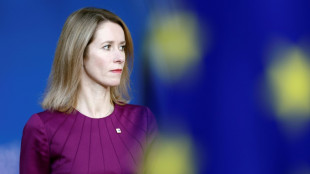 Parlamentswahl in Estland begonnen