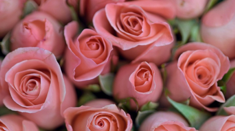 Bitkom-Umfrage: Jeder F&uuml;nfte bestellt Blumen zu Muttertag online