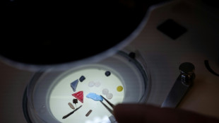 Studie: Zustand europäischer Flüsse wie Elbe und Seine wegen Mikroplastik "alarmierend"