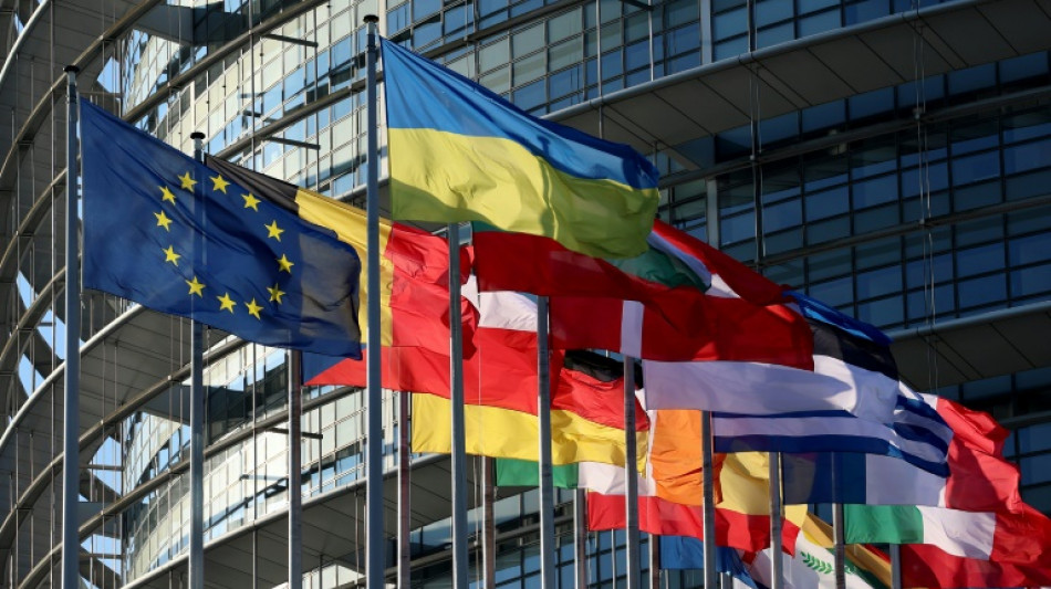 De nouveaux eurod&eacute;put&eacute;s atypiques font leur rentr&eacute;e