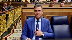 El rey inicia consultas hacia la formaci&oacute;n de un nuevo gobierno en Espa&ntilde;a