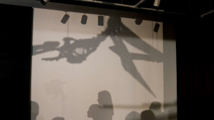 Dos esqueletos de dinosaurio se vender&aacute;n en subasta en Nueva York