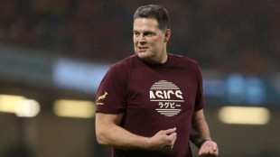 Irish tougher under Farrell, says Springbok boss Erasmus