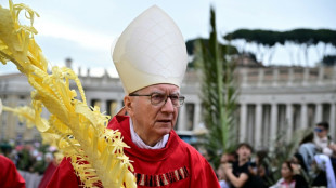 15 potential successors to Pope Francis