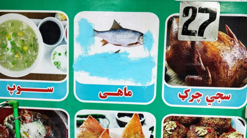 Governo talib&atilde; do Afeganist&atilde;o quer proibir publica&ccedil;&atilde;o de imagens de seres vivos na imprensa