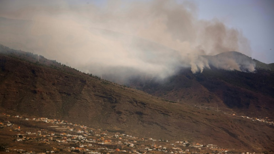 Incendie g&eacute;ant &agrave; Tenerife: une nouvelle journ&eacute;e difficile attendue