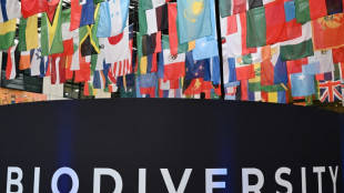 COP16 em Roma redobra esfor&ccedil;os para financiar a biodiversidade