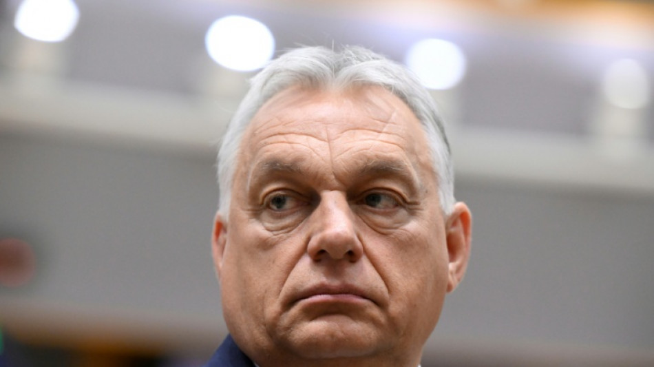 Videoaufnahmen von Orban-Familiengrundst&uuml;ck sorgen in Ungarn f&uuml;r Emp&ouml;rung