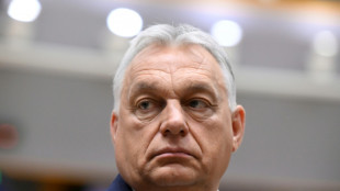 Videoaufnahmen von Orban-Familiengrundst&uuml;ck sorgen in Ungarn f&uuml;r Emp&ouml;rung