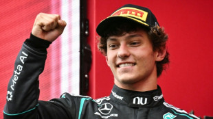 Mercedes expect Hungary challenge from Hamilton and Ferrari