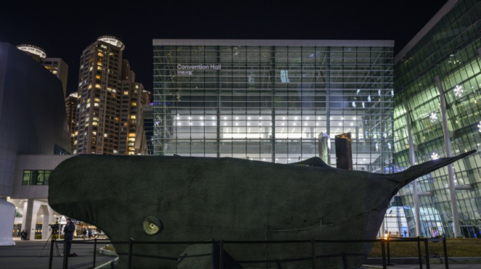 Llamados a posponer las estancadas negociaciones sobre contaminaci&oacute;n por pl&aacute;stico