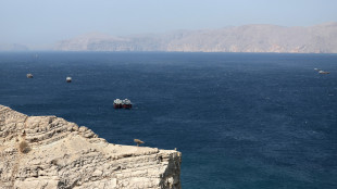 007 Usa, 'Iran si prepara a dispiegare mine nello Stretto di Hormuz'