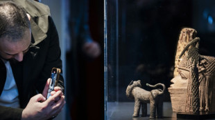 Pa&iacute;ses Bajos restituir&aacute; los bronces de Ben&iacute;n a Nigeria