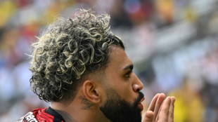 Flamengo beat Athletico Paranaense to win Copa Libertadores