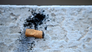 Hersteller von Einwegplastik sollen j&auml;hrlich bis zu 434 Millionen Euro zahlen