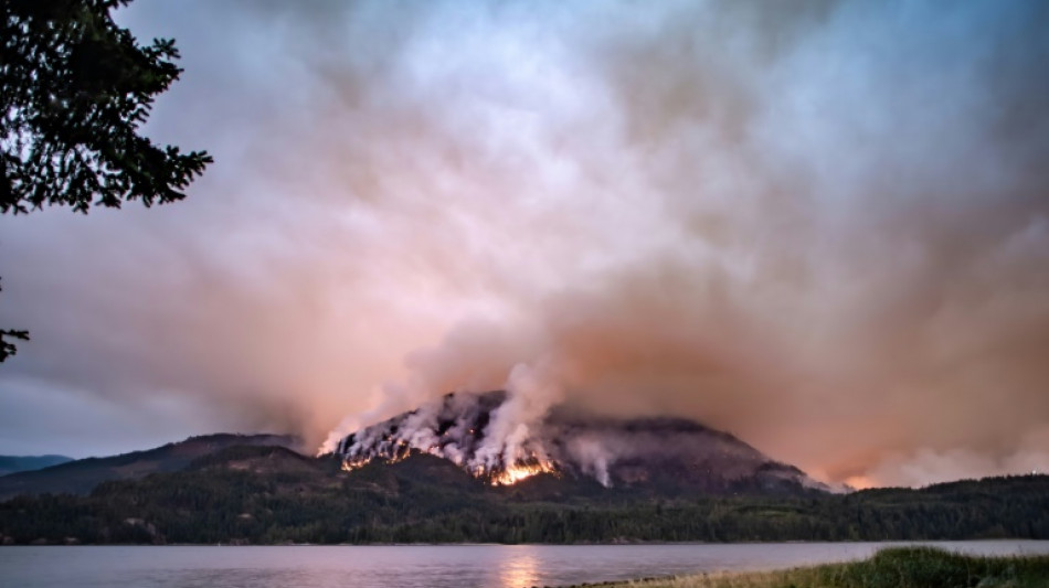 En Am&eacute;rique du Nord, les feux balayent les avanc&eacute;es contre la pollution, selon une &eacute;tude