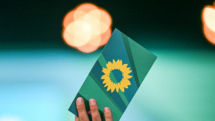 Hessische Gr&uuml;ne k&uuml;ren Al-Wazir zu Kandidat f&uuml;r Amt des Ministerpr&auml;sidenten