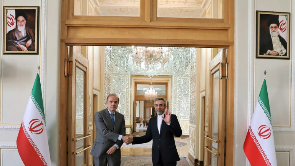 El enviado de la UE para las negociaciones con Ir&aacute;n fue retenido en un aeropuerto de Alemania