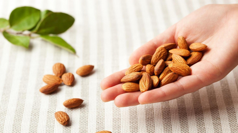 Gusci di mandorle trasformati in circuiti e sensori