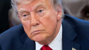 'Alarming deterioration' of US press freedom under Trump, says RSF 