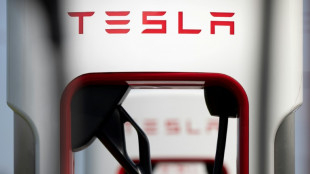 Tesla meldet f&uuml;r zweites Quartal Gewinnanstieg auf 2,7 Milliarden Dollar