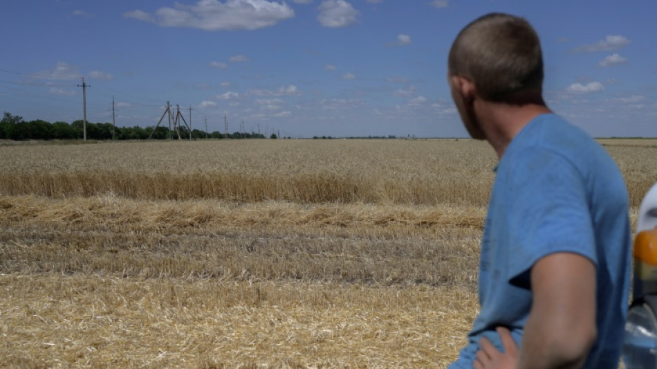 En Ukraine, des fermiers prient pour un accord avec Moscou sur les c&eacute;r&eacute;ales
