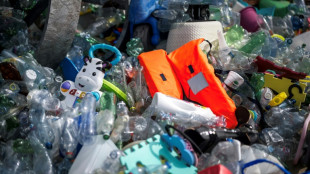 El planeta se plantea en Ginebra el problema de la contaminación por plásticos