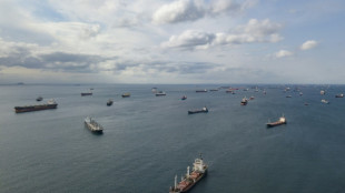 Ukraine grain exports resume in Black Sea 