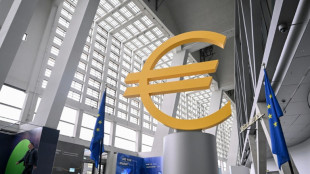 La BCE marque une pause et esp&egrave;re un d&eacute;nouement sur les droits de douane
