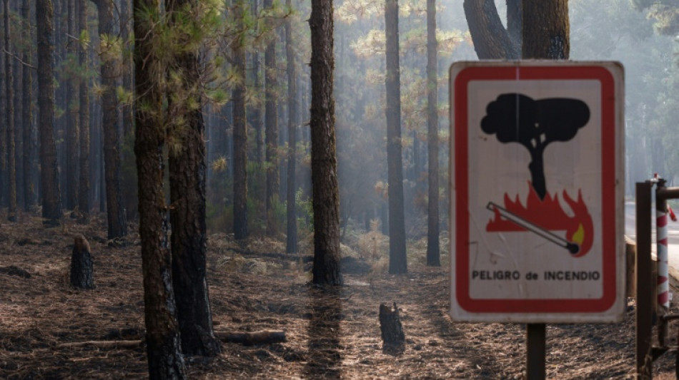 Poblaciones confinadas y m&aacute;s de 2.300 hect&aacute;reas quemadas por un incendio en Espa&ntilde;a