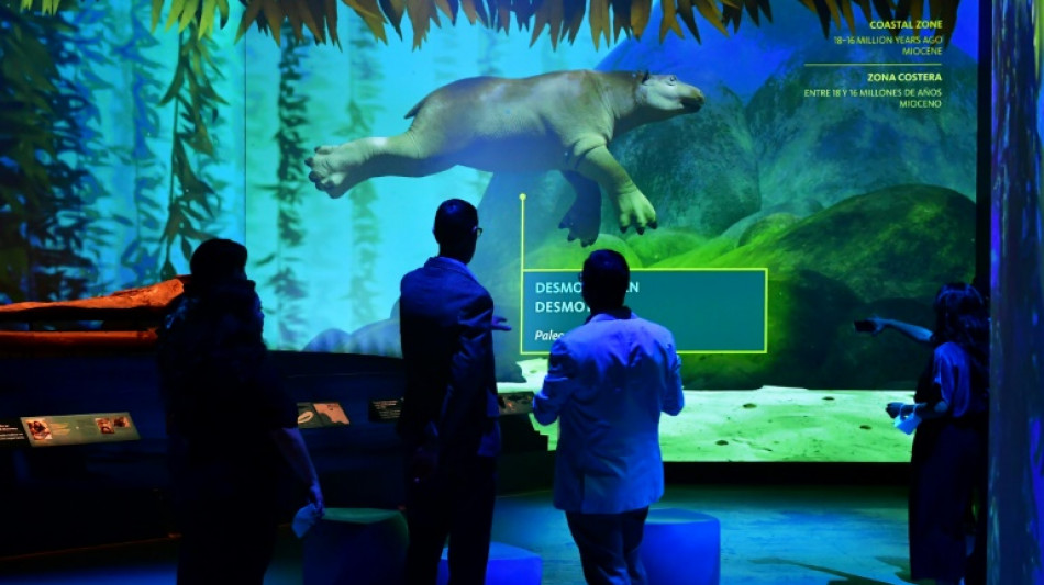 Ancestros de mam&iacute;feros empezaron a tener sangre caliente m&aacute;s tarde de lo que se cre&iacute;a