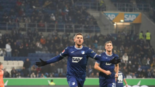 "Es war ein sch&ouml;ner Abend": Kramaric "m&uuml;llert" TSG zum Sieg