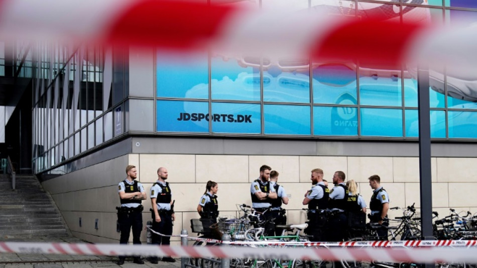 Fusillade de Copenhague: l'enqu&ecirc;te s'oriente vers les probl&egrave;mes psychiatriques du tireur