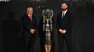 Wales will thrive on 'underdog' tag against Ireland, says Gatland