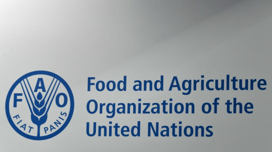 En 2024, les prix alimentaires mondiaux ont baiss&eacute; de 2% selon la FAO